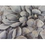 Шпалери Marburg  Floralia 33905