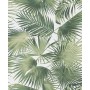 Ratan Greenery