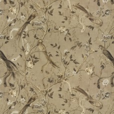 Carlucci Avventura CA1491 / 020