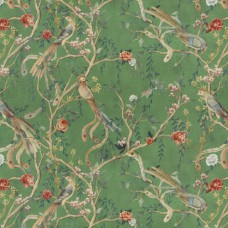 Carlucci Avventura CA1491 / 030