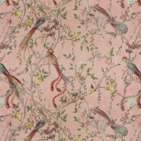 Carlucci Avventura CA1491 / 060