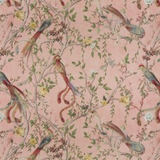 Carlucci Avventura CA1491 / 060