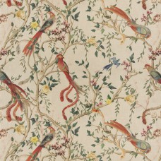 Carlucci Avventura CA1491 / 070