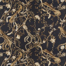 Carlucci Avventura CA1491 / 099