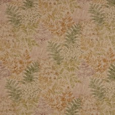 ILIV Sylvan Elm