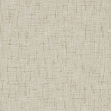 ILIV Zen Barley