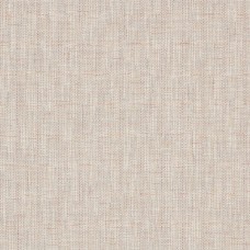 ILIV Zen Rosewood