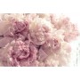 3D Фотообои  3Д Воздушые розовые цветы