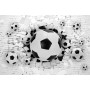 3D Фотообои  3Д Футбольные мячи