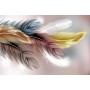 3D Фотообои  3Д Изумрудные перья