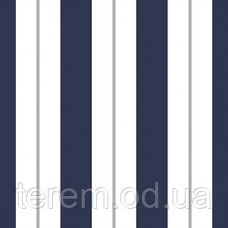 Dynamic stripe