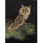 Гобеленова картина Art de Lys Chouette beige 50x50 без підкладки