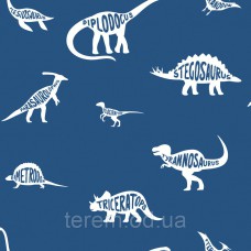 Dino Dictionary Blue