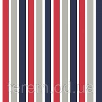 Stripe