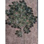 Гобеленова картина Art de lys natural oak 187x75 8450 без підкладки