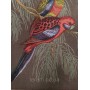 Гобеленова картина Art de Lys 2 Perroquets rouges 50x50 без підкладки